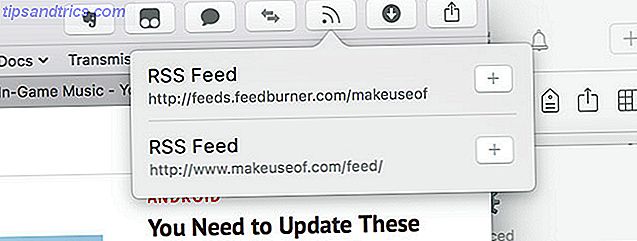De bästa Safari Extensions för Mac-användare safari syndikat