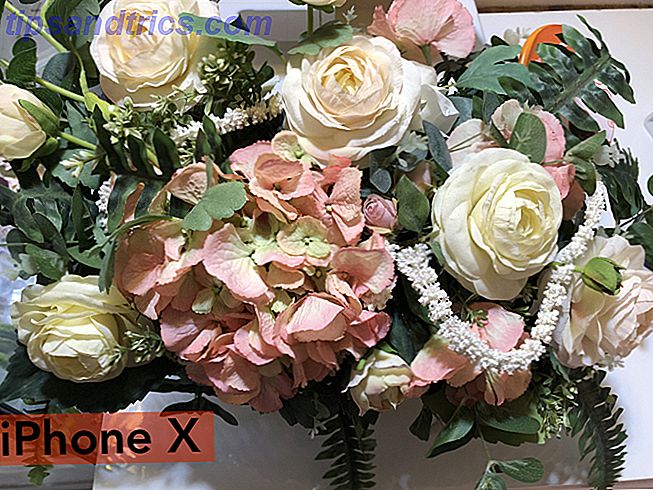Razer τηλέφωνο αναθεώρηση: Υπάρχει μια πρώτη φορά για όλα τα λουλούδια φωτογραφικών μηχανών razer iphone