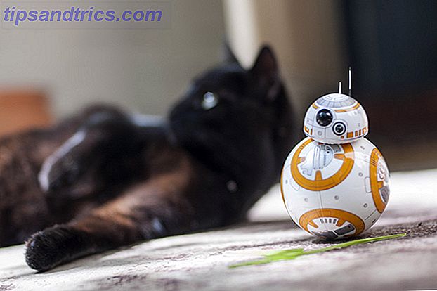 Feline Force: Sphero Star Wars BB-8 Review og Giveaway DSC 0033