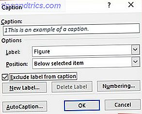 Excel-gegevens integreren in een bijschrift bij een Word-document