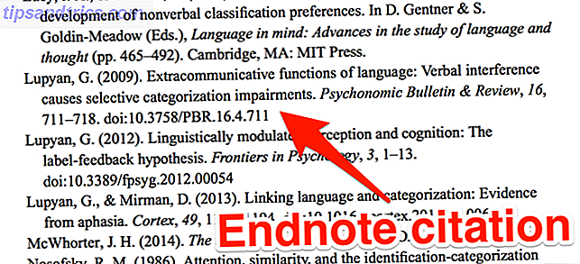 Endnote Citation Lupyan