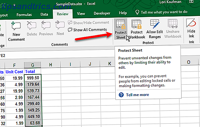 Cliquez sur Protéger la feuille dans Excel