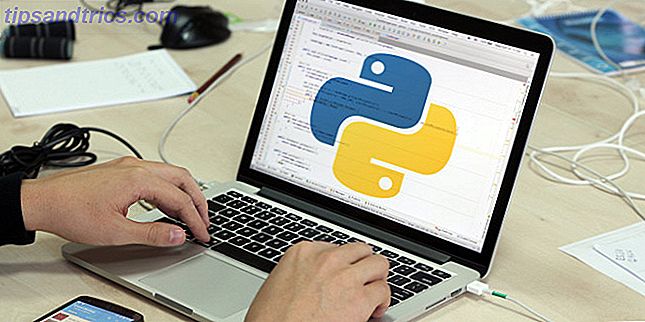 python programmering