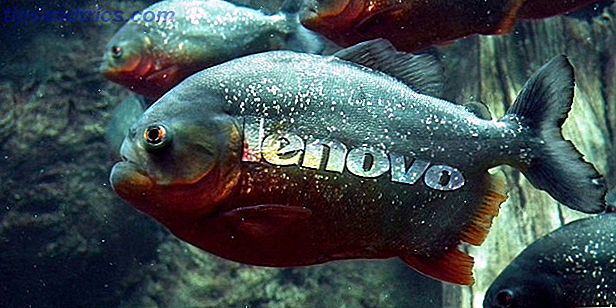Lenovo-Superfische