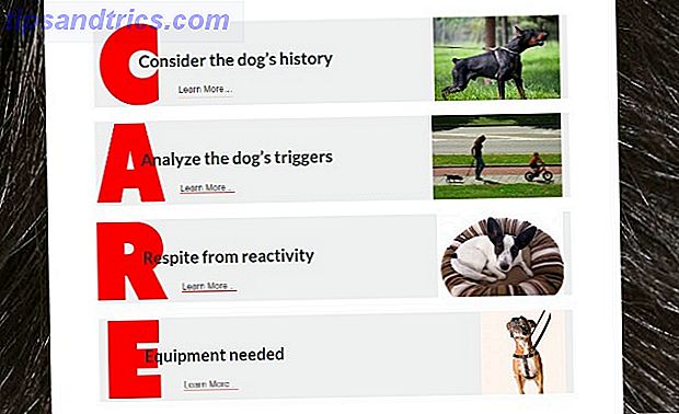 CARE für reaktive Hunde Website