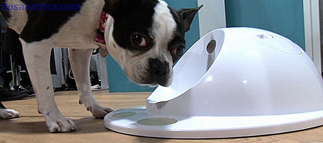CleverPet Smart Food Bowl for kjæledyr