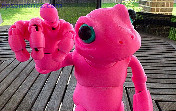 3D-printing-utile-at-home-Froggy