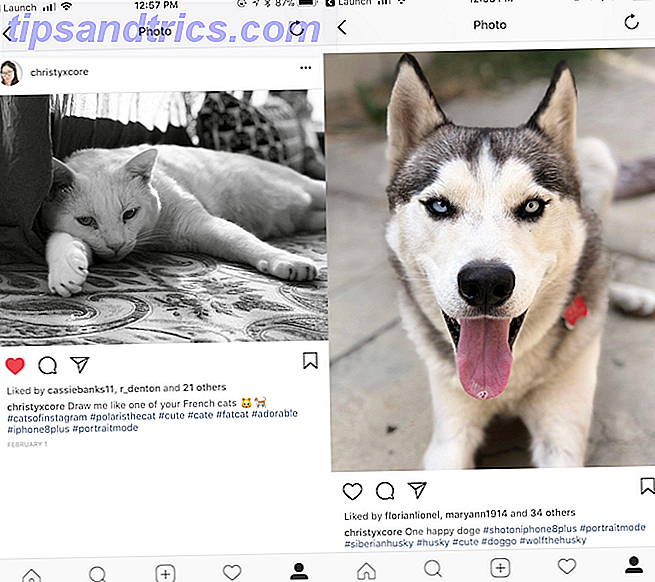 Instagram und Snapchat Bilder - schreibe Bildunterschriften
