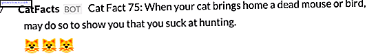 catfacts