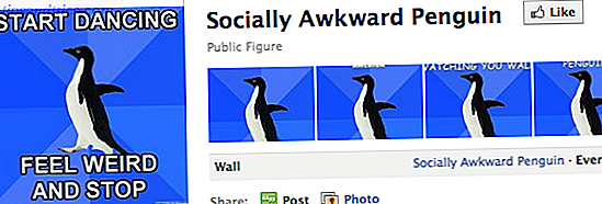 Die 4 Stufen des Social Networking mit alten Freunden scoopawwardpenguin
