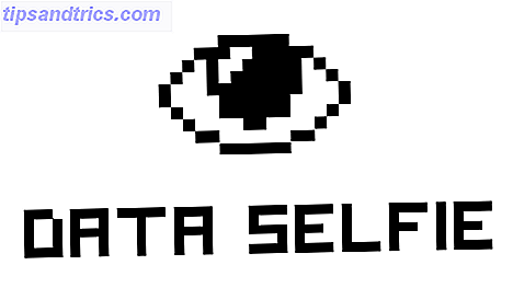 logo de selfie de données