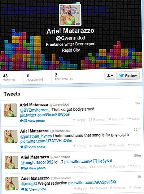 spambot_twitter_example