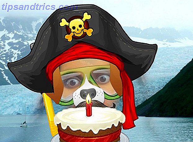 dog-pirat