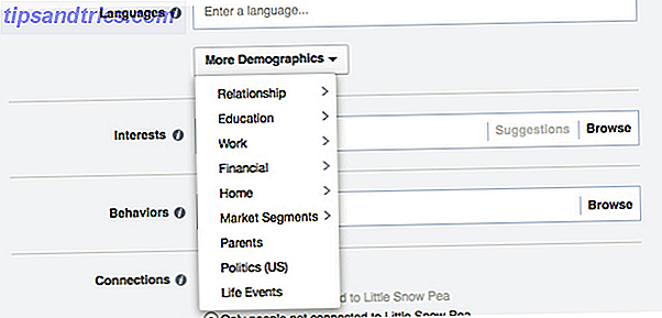 Facebook Altri dati demografici