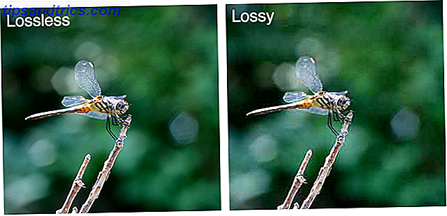 Lossless-vs-Lossy-Kompressions-Libelle