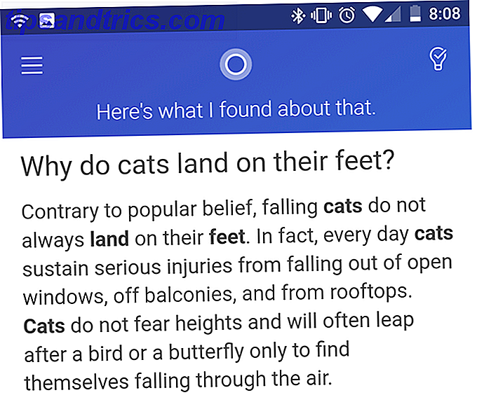 Resposta da pergunta do gato de Cortana