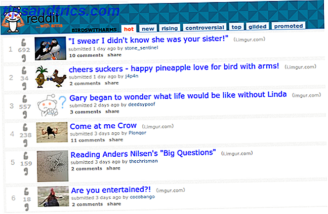reddit-uccelli-con-le braccia