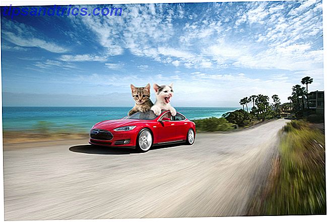 tesla-motori-kitten-cars