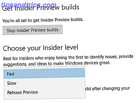 Windows Insider Langsamer schneller Ring