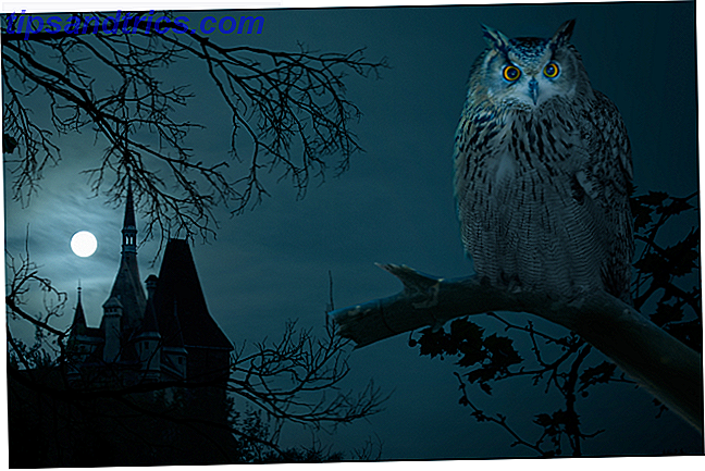 Castelo e coruja de noite